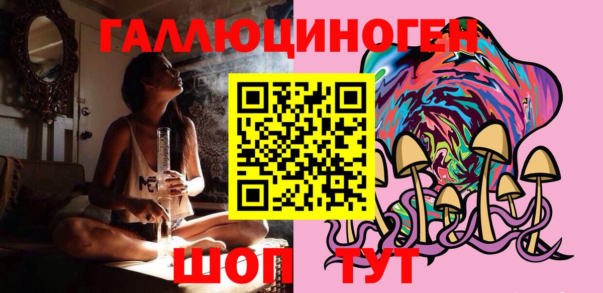 Великий Новгород  Галлюциногенные грибы Psilocybine cubensis  Вход с VPN 
